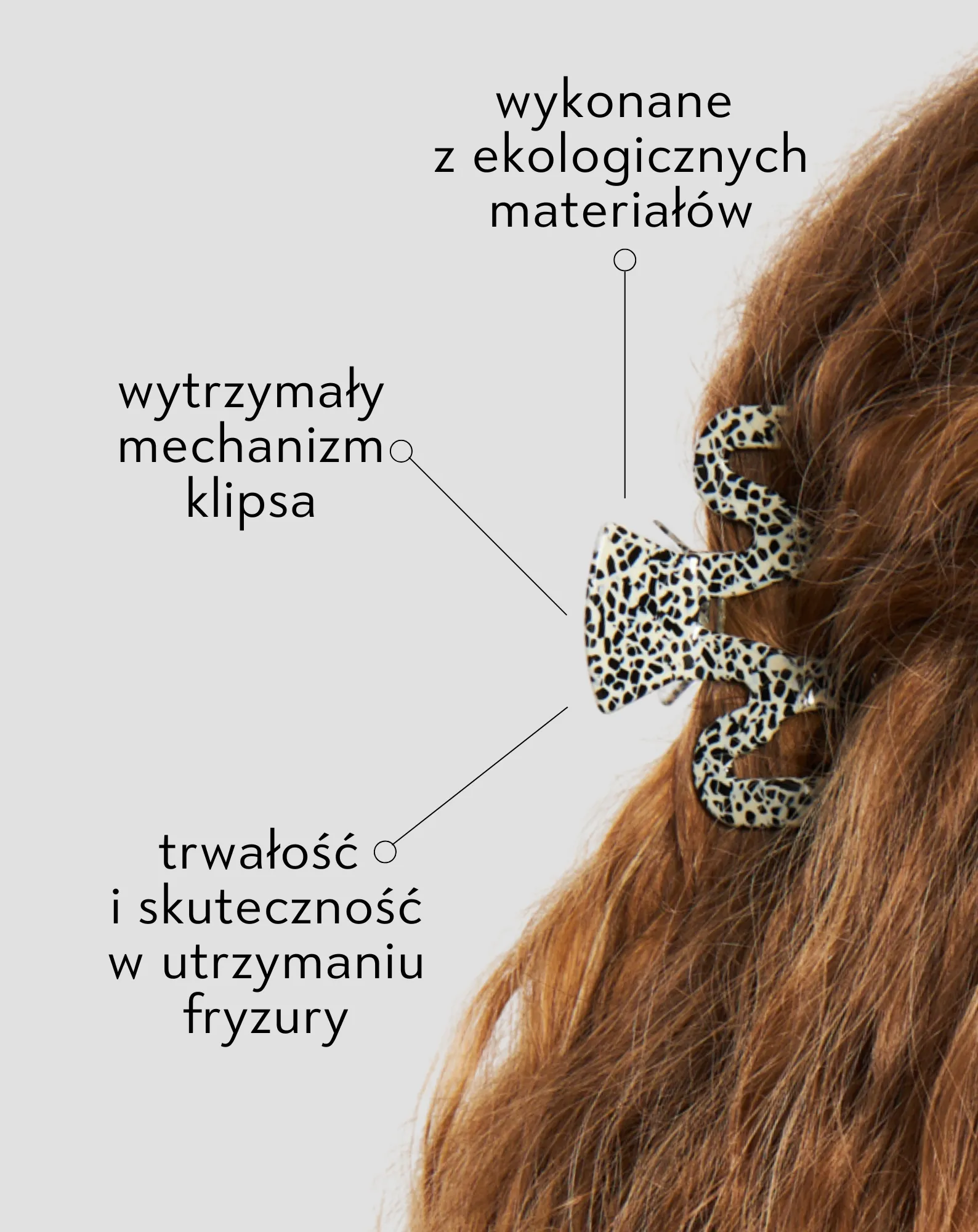 curls & claws – zdjęcie 4